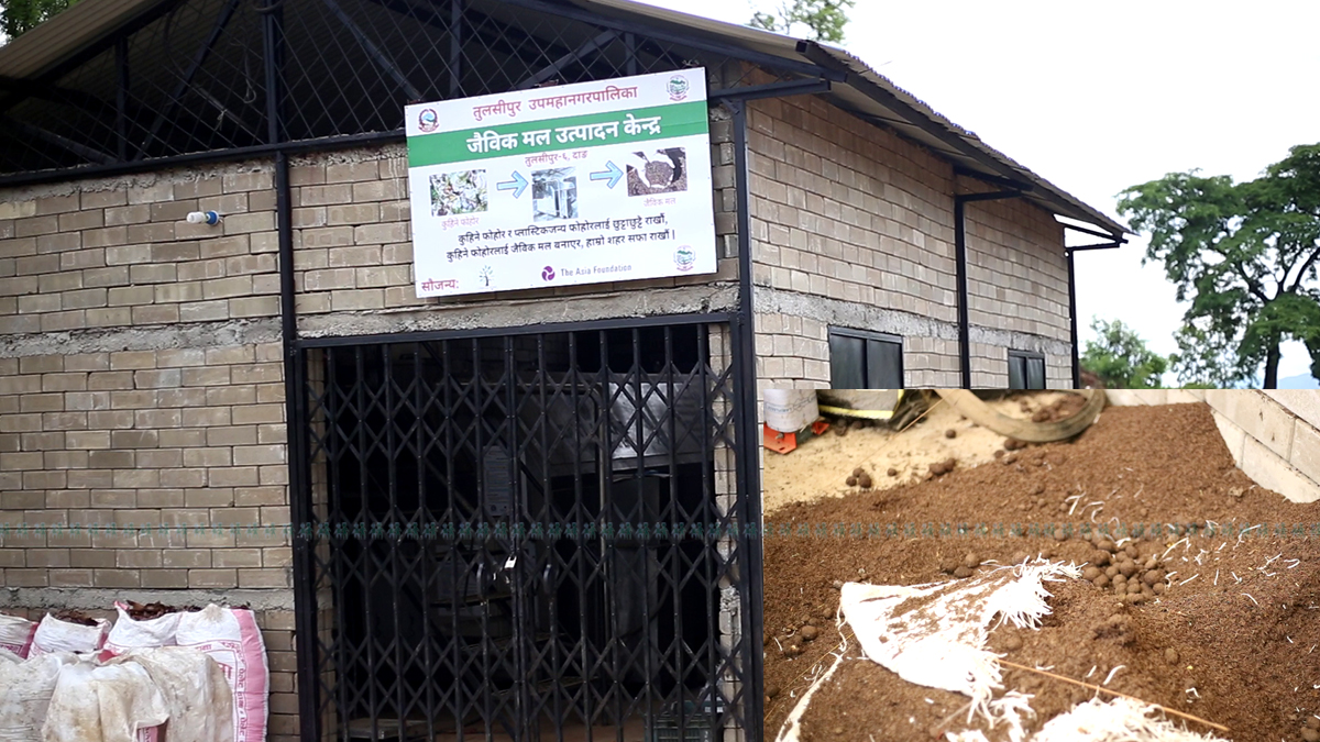 तस्बिर: नारायण खड्का